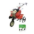 MOTOAZADA 6,5 HP 2 VELOCID + 1 ATR&Aacute;S
