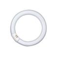 FLUORESCENTE CIRCULAR T9 22W/865