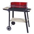 Barbacoa carb&oacute;n Supergrill 49